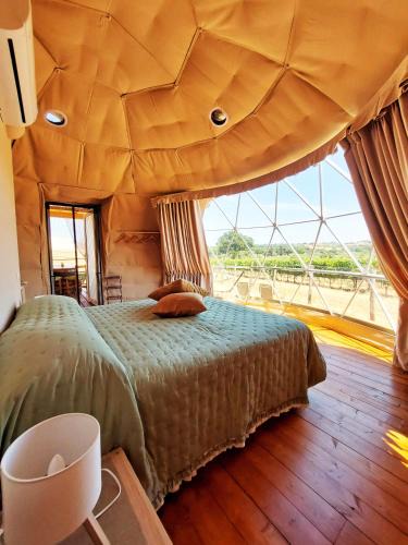 Suvereto Other | Le Stelle di Elisa - Wine & Truffle Glamping