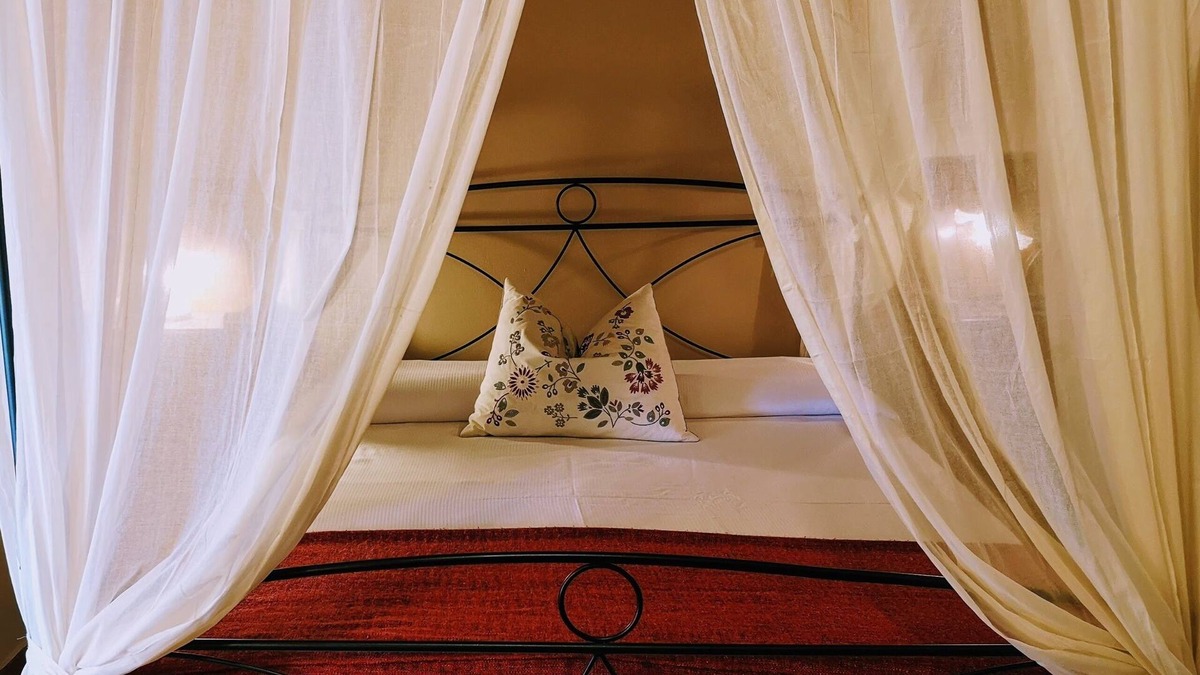Montescudaio Apartment | Le Tortore 6 2