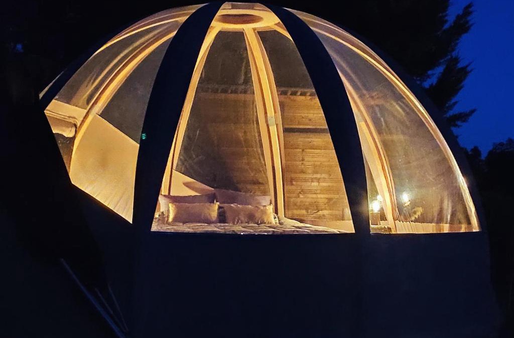 Saint-Julien-du-Puy Other | Le Wigwam du Fassac