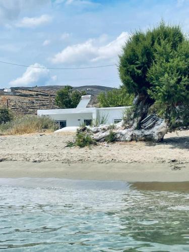 Karpenisi Apartment | Lefkes Beach Suite