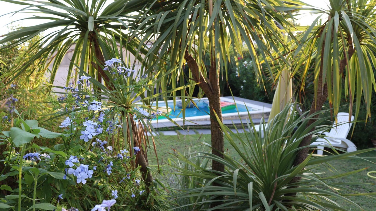 Balaruc-les-Bains Apartment | lemodernlounge, cozy garden level near Bassin de Thau, SETE and the beaches