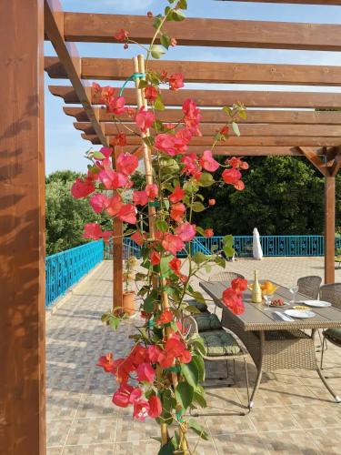 Makriotika Villa | LEMON TREE GARDEN near Mirtos beach