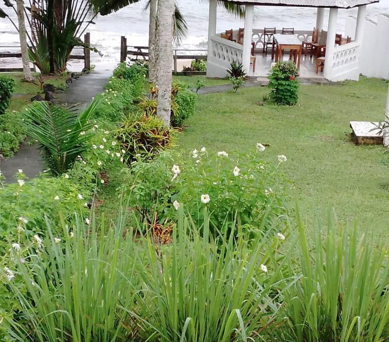 Kribi Apartment | Les baleines