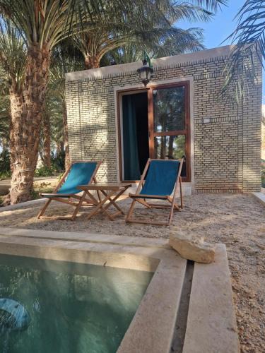 Tozeur House | Les Bungalows d'Armelle