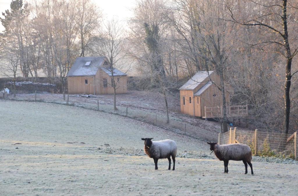 Haut-Bois Other | Les Cabanes des Pierreux