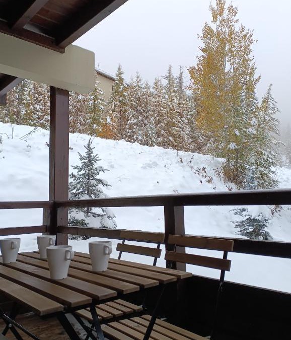 Puy-Saint-Vincent Apartment | les chalets de puy st vincent