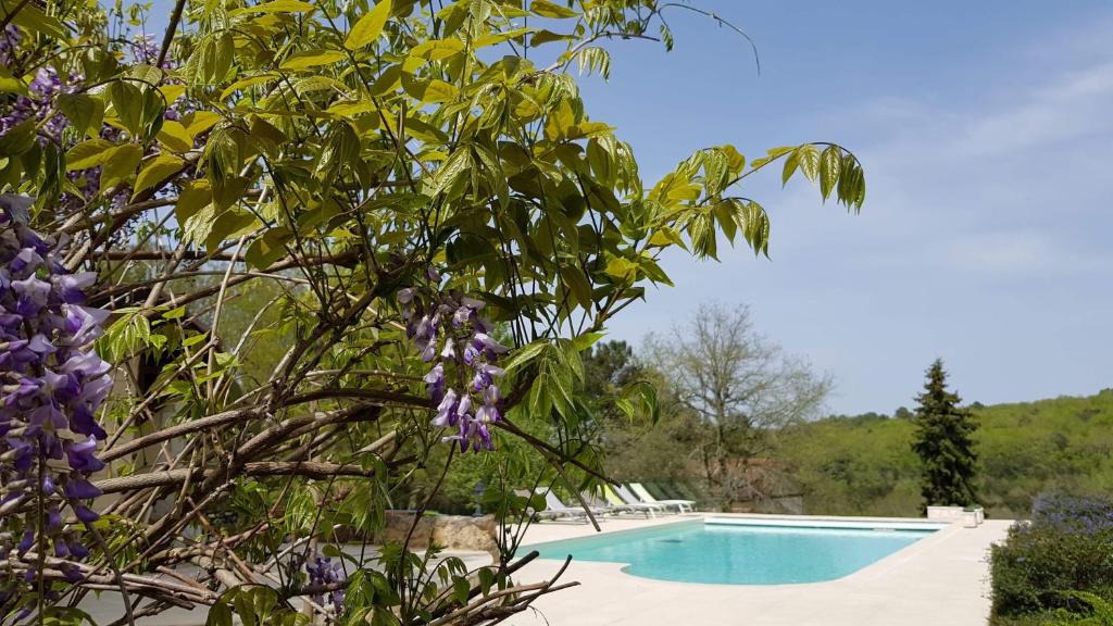 Monsac Bed & Breakfast | Les Chevreuils