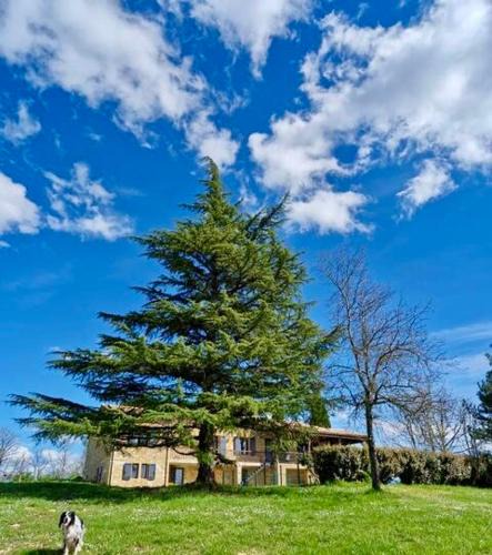 Grezels House | Les Hauts de Courrech