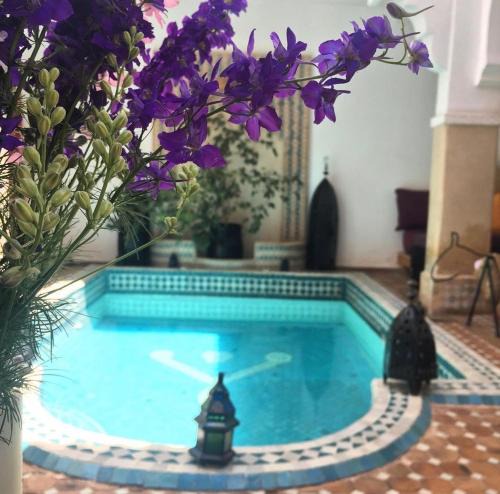 Assouel House | Les Jardins Mandaline