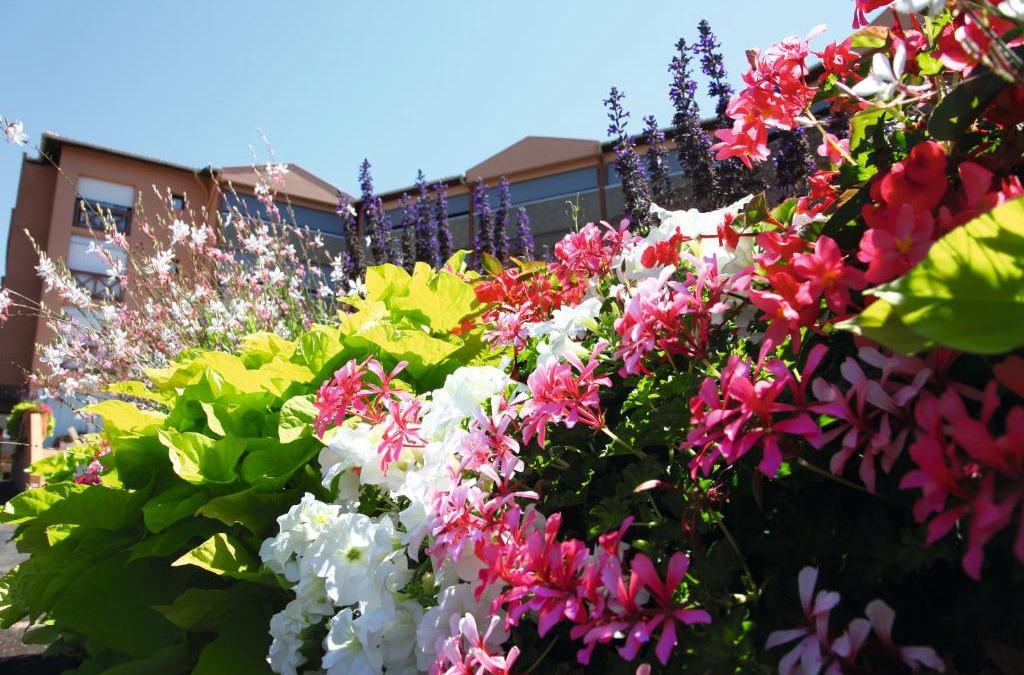 Dax Resort | LES TERRASSES DE BORDA***