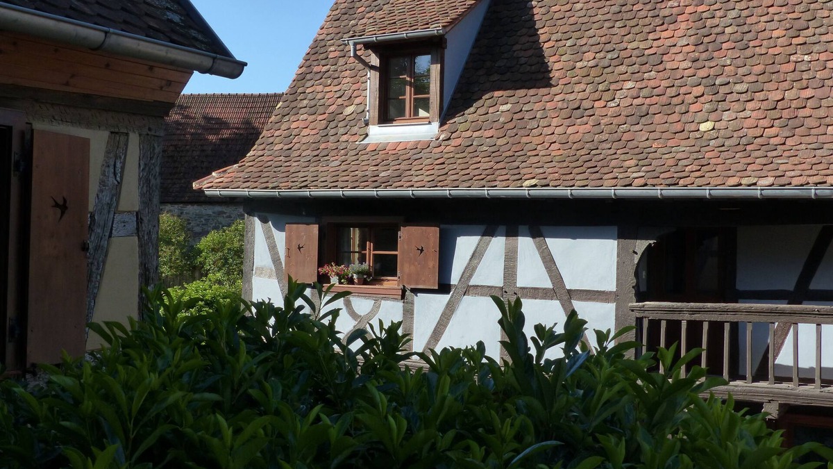 Obermodern-Zutzendorf House | Lettres de mon Moulin - Colette Room