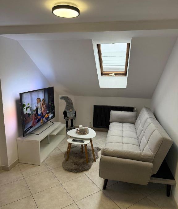 Teplice Apartment | Levné a dostupné ubytovaní