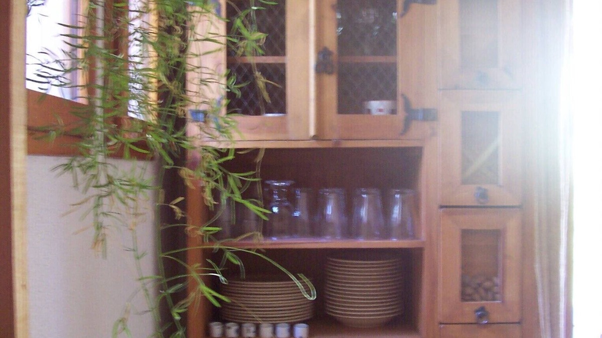 Canaules-et-Argentieres House | Lila is a very pretty village house