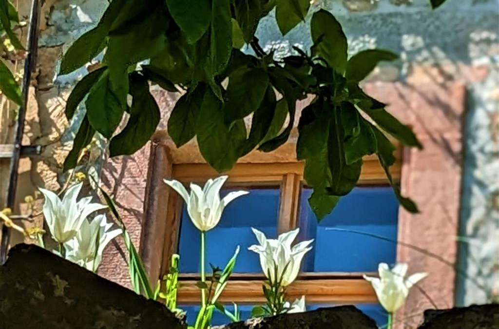 Kohren-Sahlis House | Lilly im Dorfe
