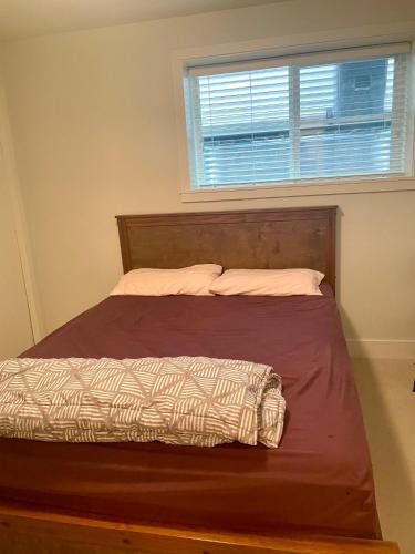 Yorkson House | Lily Rentals