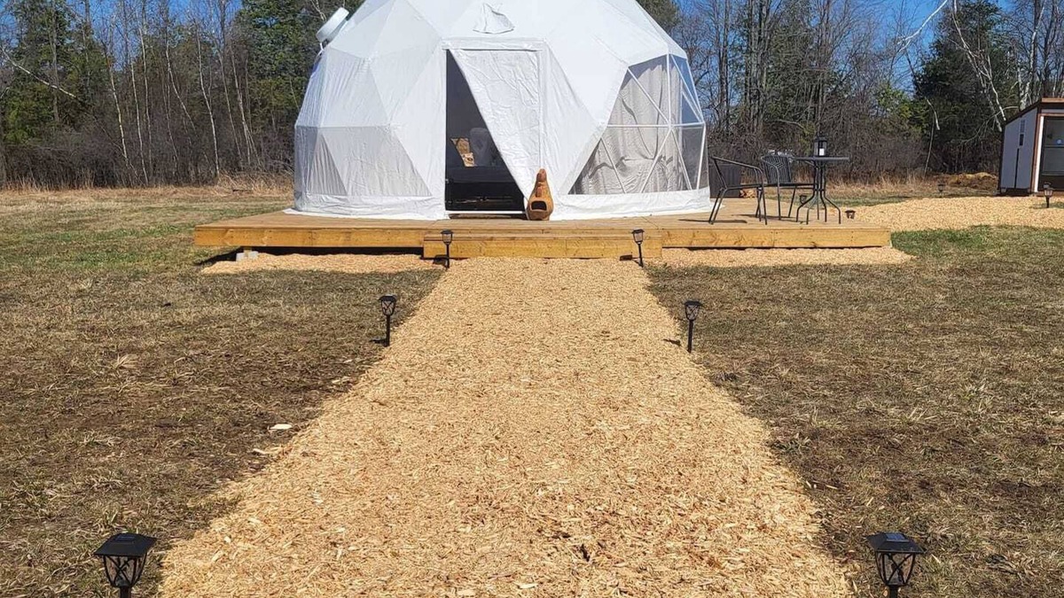 North Grenville Apartment | Limerick Forest Retreat | Luxury Camping Geodome