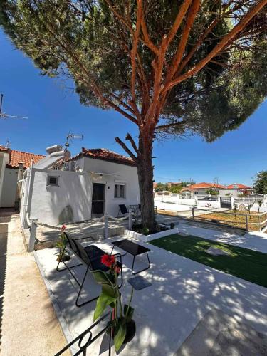 Mirina House | Limnos Twin Pine