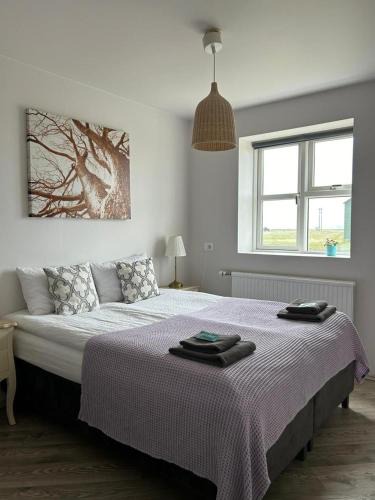 Hvolsvollur House | Lindartún Guesthouse