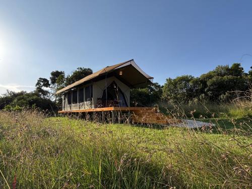 Maasai Mara Other | Lion's Cradle