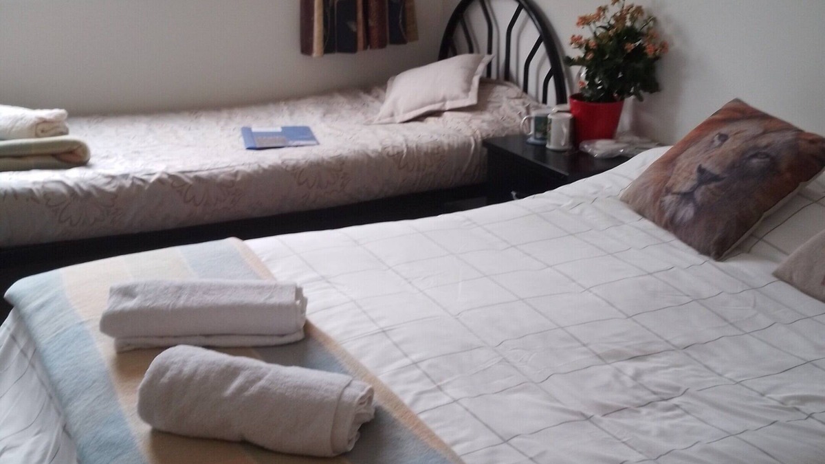 Dunedin Apartment | Lioness Estate and B&B - Dunedin