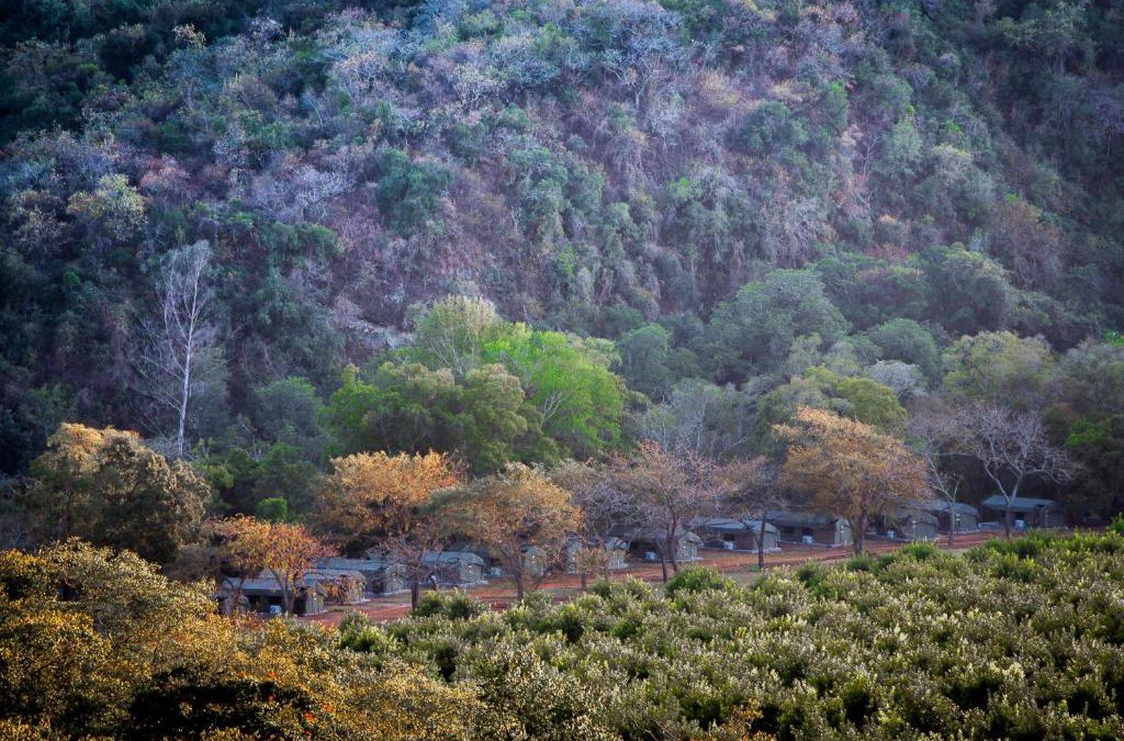 Hazyview Other | Lions Rock Rapids - Luxury Tented Camp