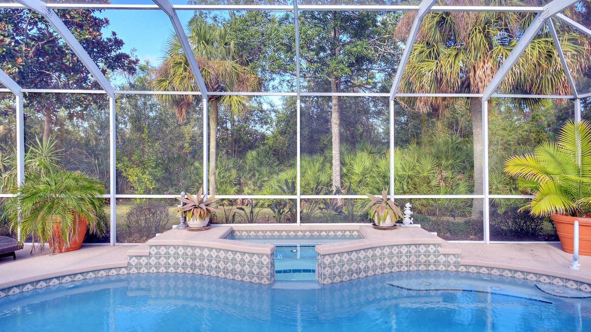 Palm Harbor House | Little Paradise - Salt Water Pool and Hot Spa NEW LISTING -TEMPORARY LOW RATE