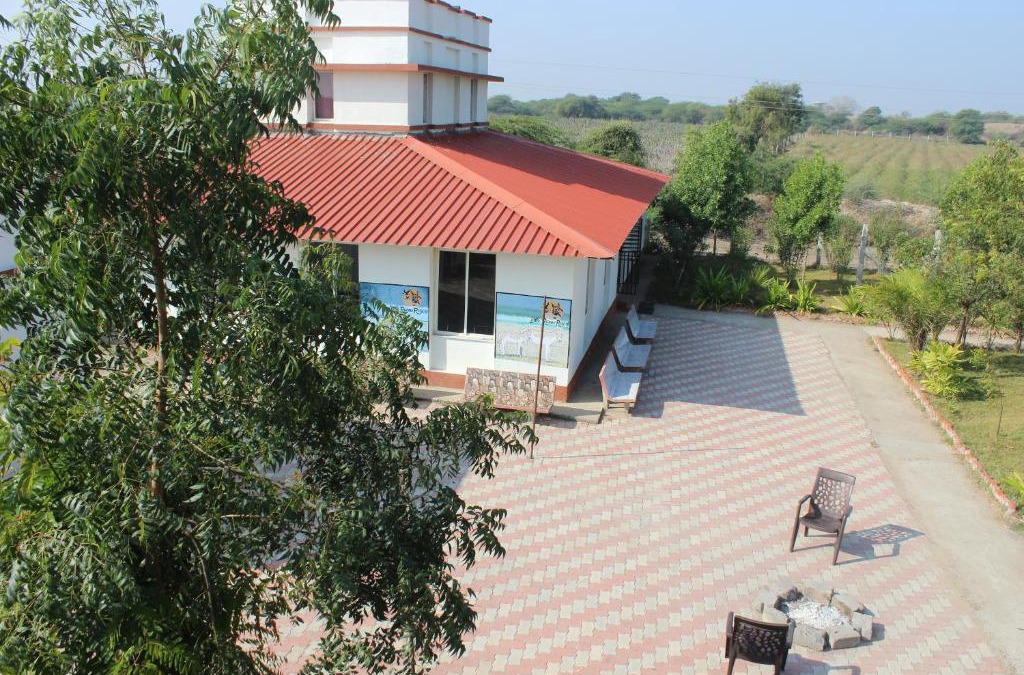 Dasada Resort | Little Rann Resort