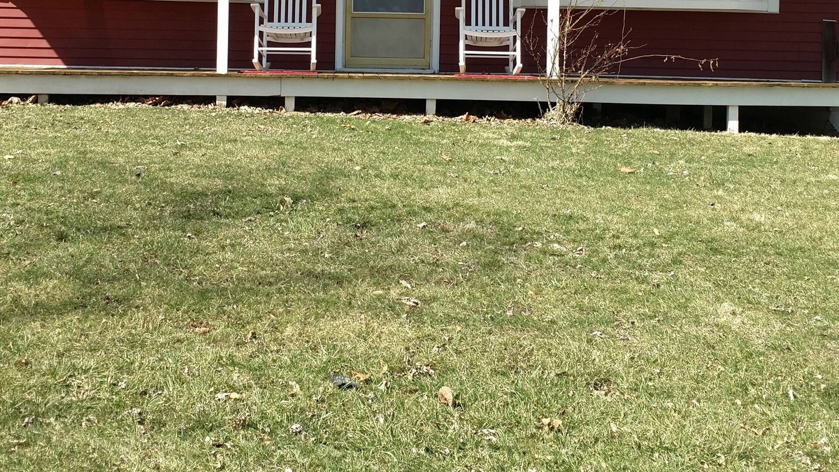 Ipava Cabin | Little Red cabin by The Spoon River