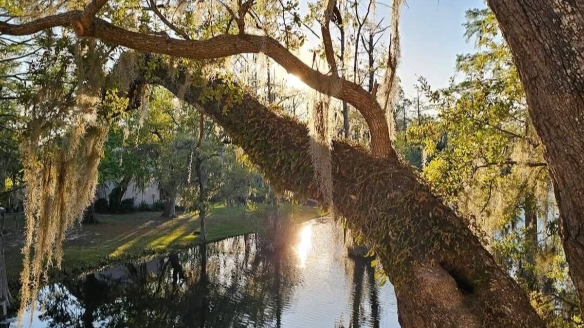 Georgetown Condo | Little slice of heaven 2-bedroom condo in superb Georgetown with deck on lake