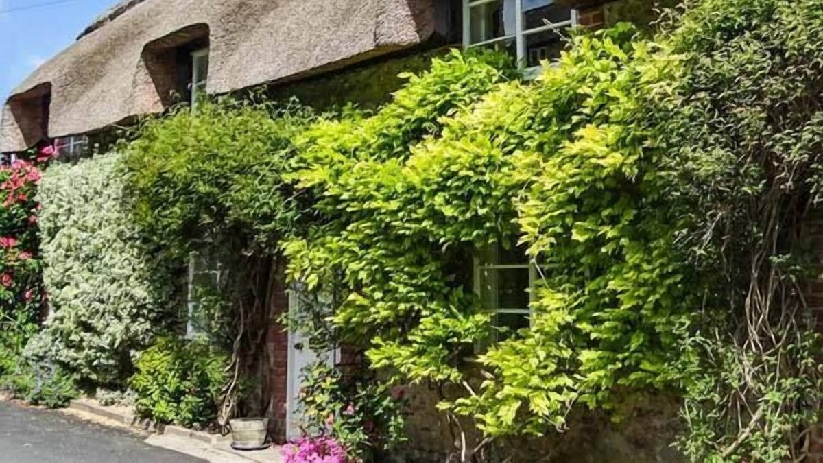 Cerne Abbas Cottage | LITTLE THATCH, romantic, luxury holiday cottage in Cerne Abbas