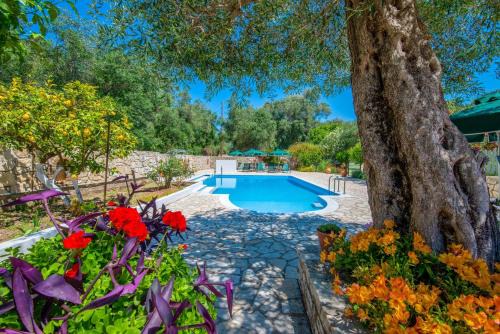 Lakka Apartment | LIvadi Studios with Pool