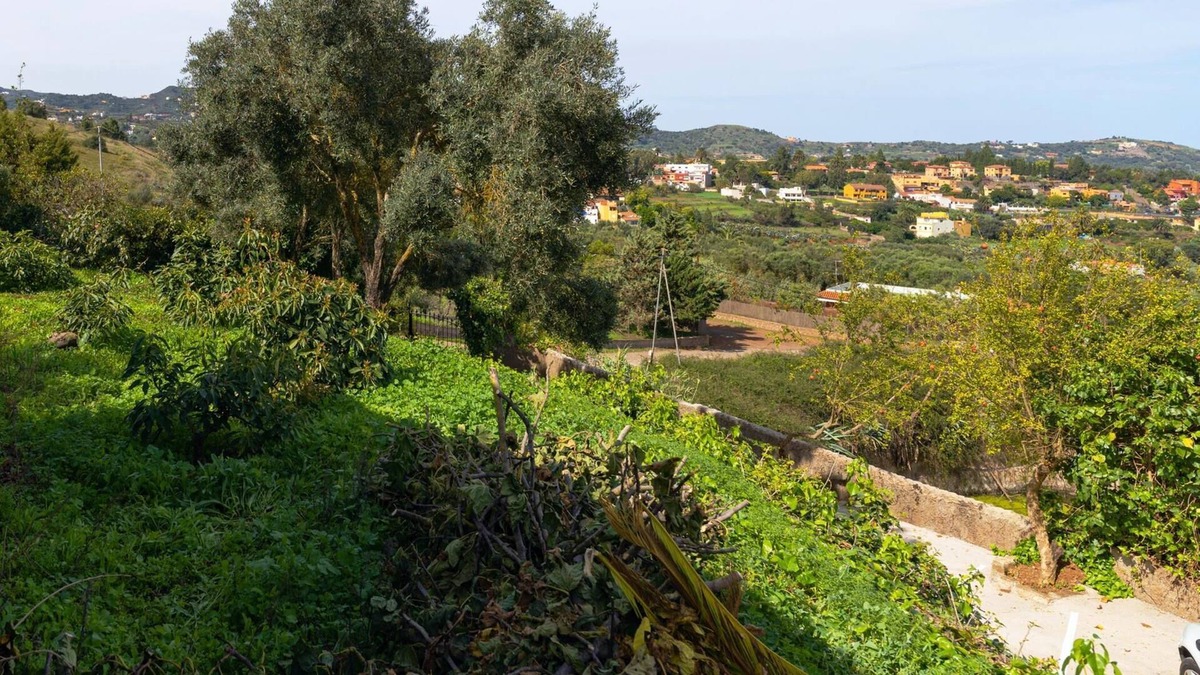 Santa Brigida Apartment | LIVE FINCA GAMONAL BJ