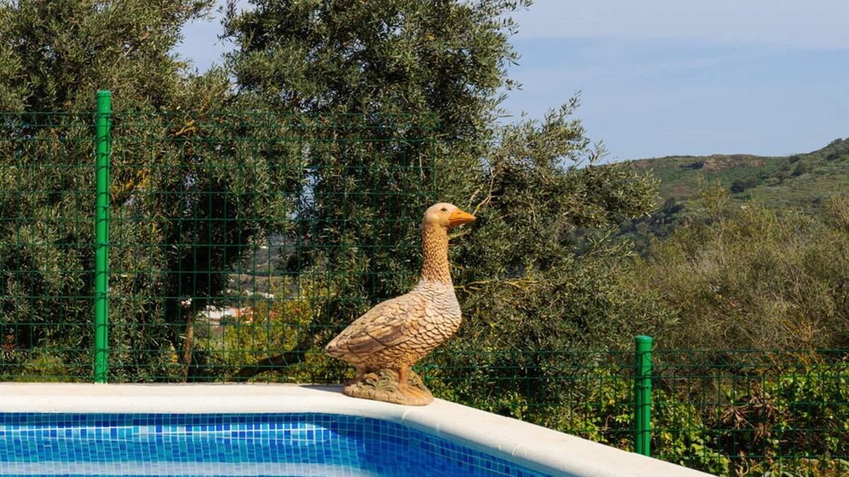Santa Brigida Apartment | LIVE FINCA GAMONAL BJ 2
