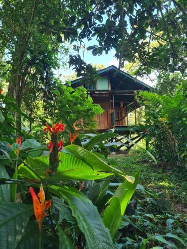 Isla Bastimentos House | Live the Jungle - Rustic Refuge