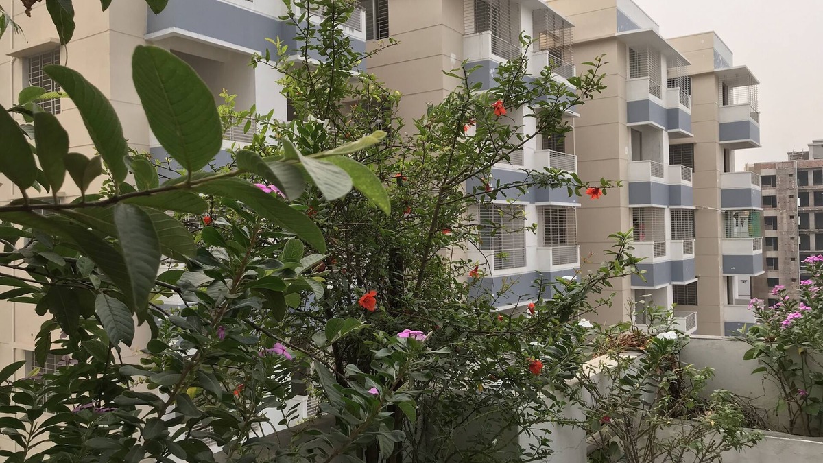 Dhaka Apartment | Living At Home