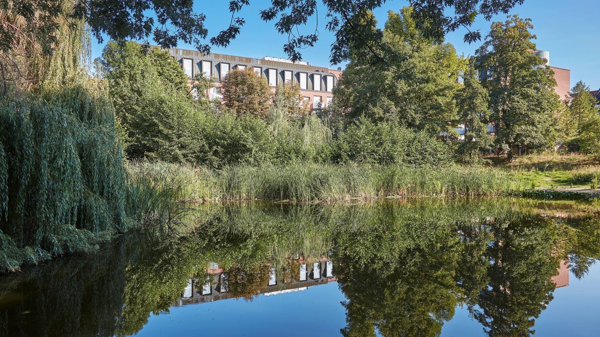 Weissensee Hotel | Living Hotel Weißensee
