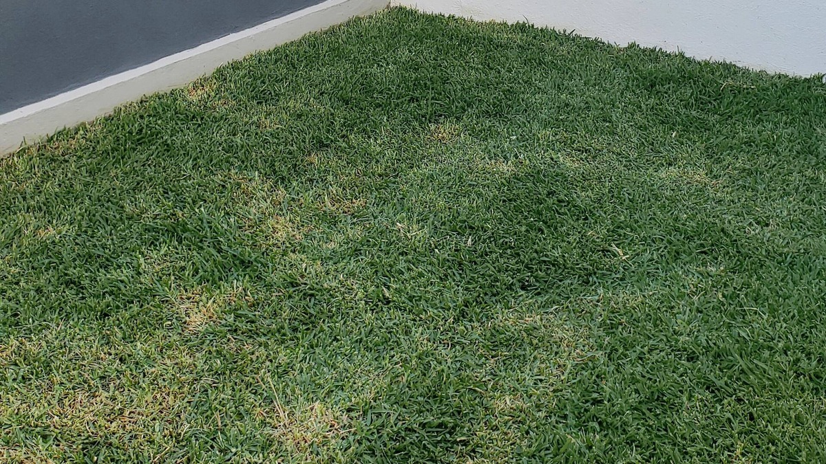 Alpuyeca House | Llegada Autonoma, Vigilancia 24/7, Estacionamiento gratuito