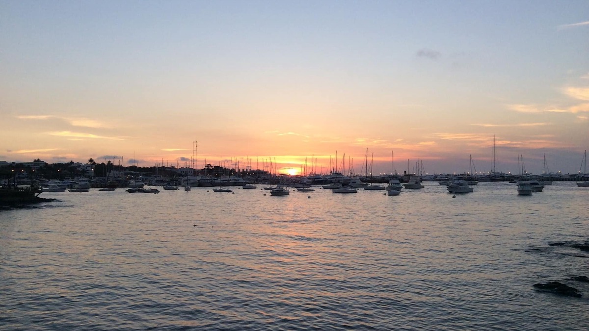 Punta del Este Apartment | Lo mejor de Punta, Vista al Puerto - The best in Punta, View of the Marina