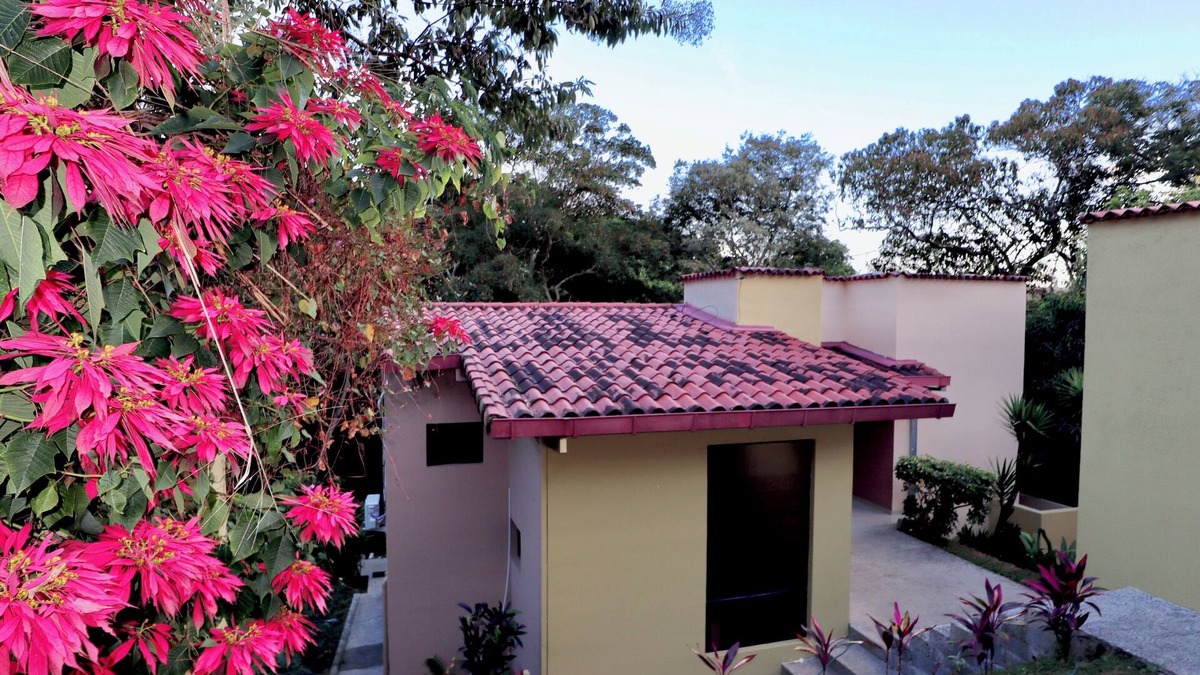 Zaragoza House | Located 20 min from El Tunco & 15 min from San Salvador ~ 3-Bed Jungle Home!