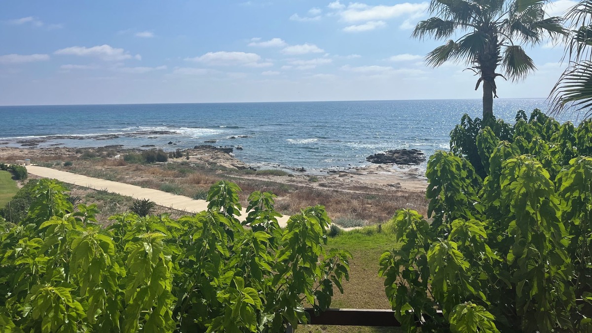 Kissonerga Apartment | Location, Location! Lovely beachfront apartment with restaurant onsite.