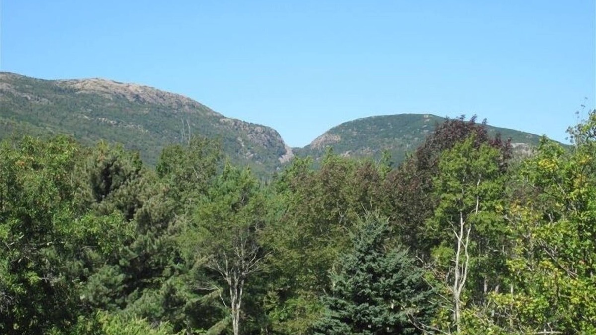 Otter Creek House | LOCATION2MountainViewsWalktoTrails Cove,PlaygroundBus&Store AutumnDiscounts!