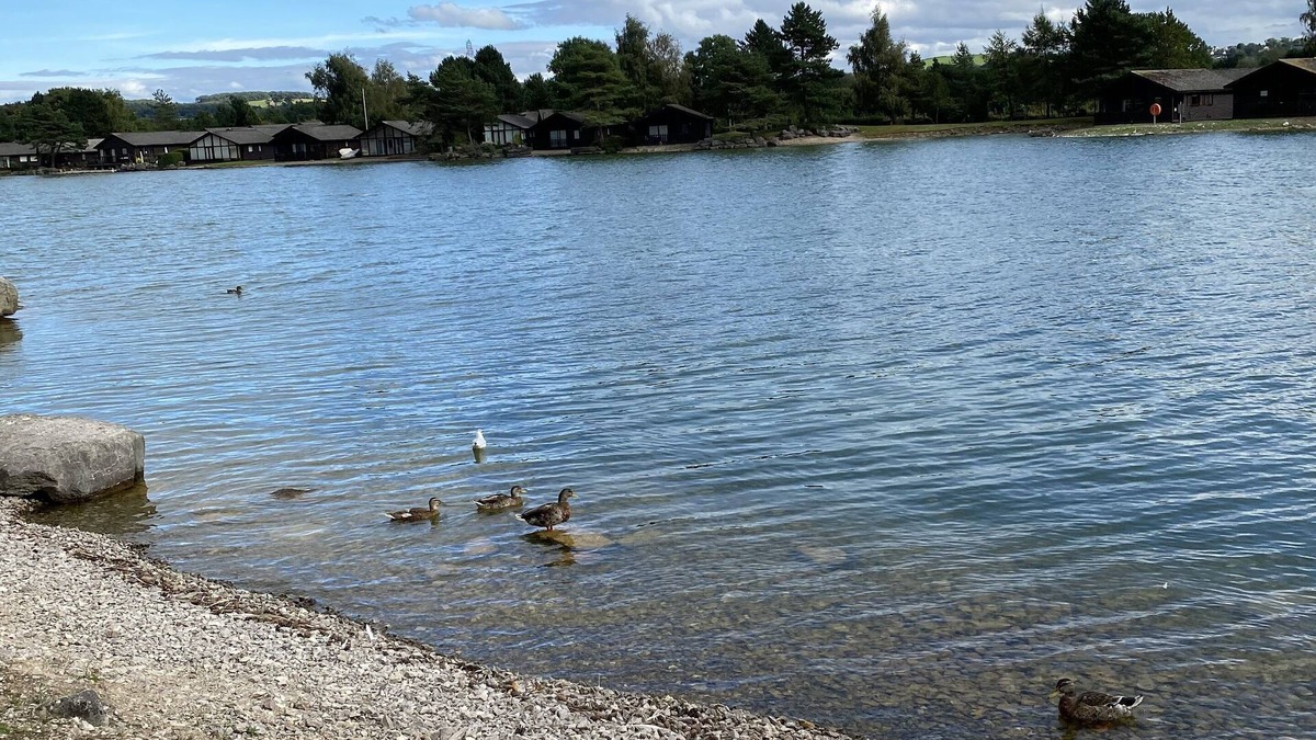 Carnforth Cabin | Lodge at PineLakes resort