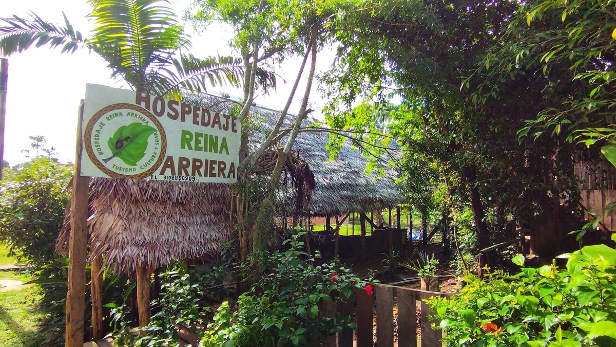 Leticia Cottage | Lodging and tours queen arriera Amazonas Colombia