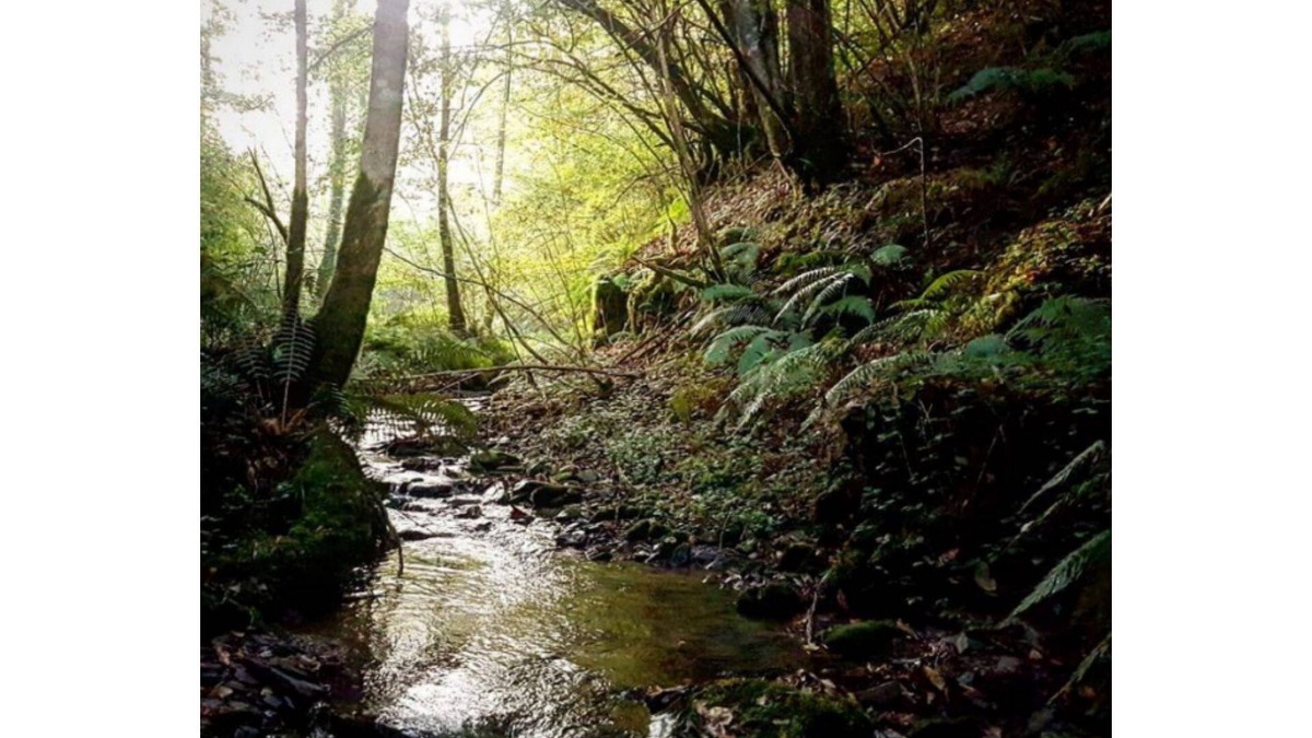 Rimont House | Lodging between forest and streams