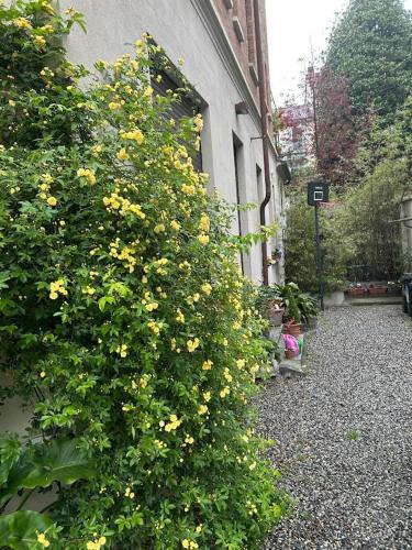 Borgo Po Apartment | Loft Crimea con patio