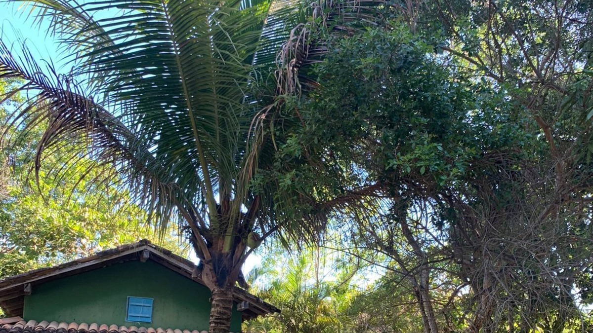 Caraiva House | Loft-house Dentro da Vila de Caraiva