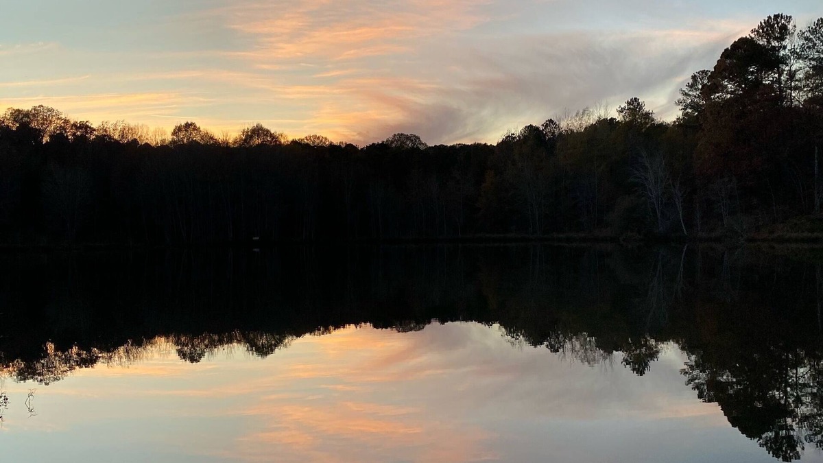 Lake Oconee Cabin | Log Cabin on 5 acre pond - fishing and wildlife paradise!
