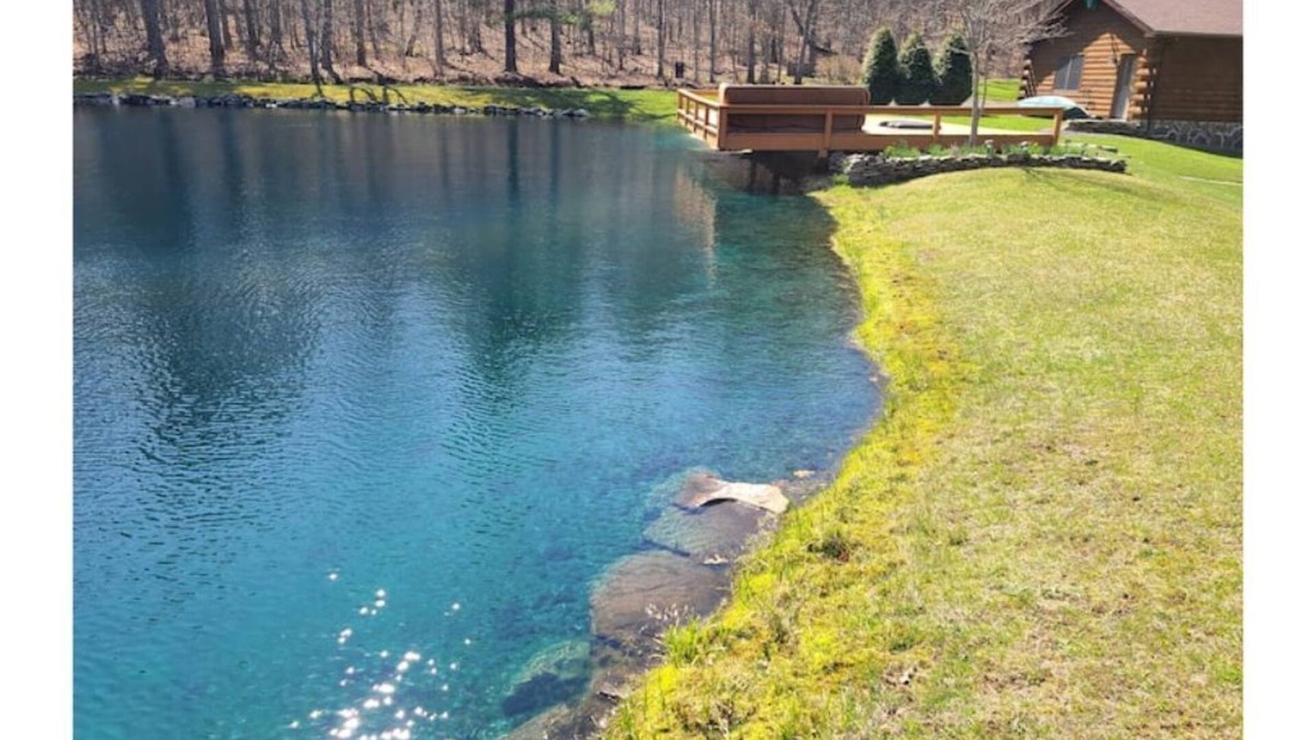 Narrowsburg Cabin | Log Cabin with Fireplace, Swimming Pond & Game Room, Close to Skiing