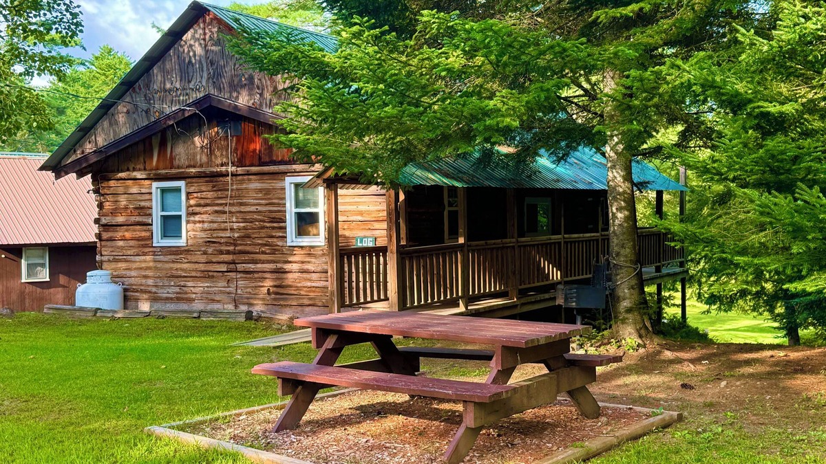 Chestertown Cabin | Log Haven Cabin, Pool/AC/Fireplace,Steps to Loon Lake