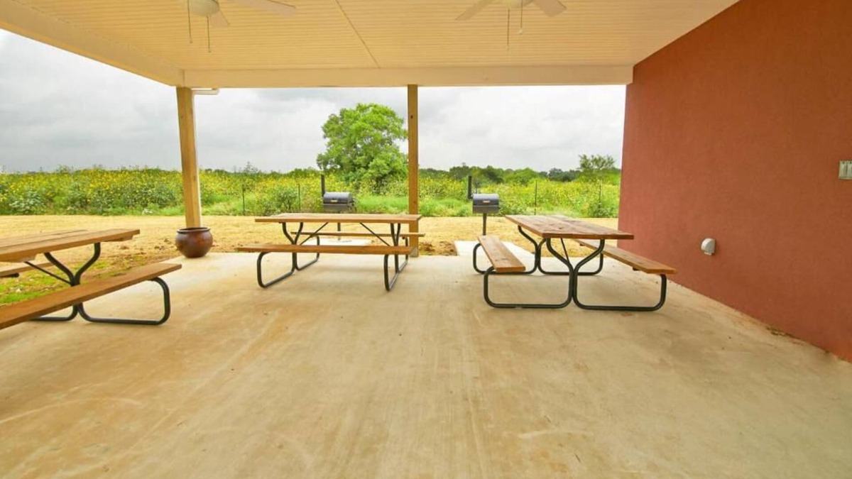 Pleasanton House | Longhorn Museum Tour! 3 Pet-friendly Units w/ Private Kitchens & Free Parking!